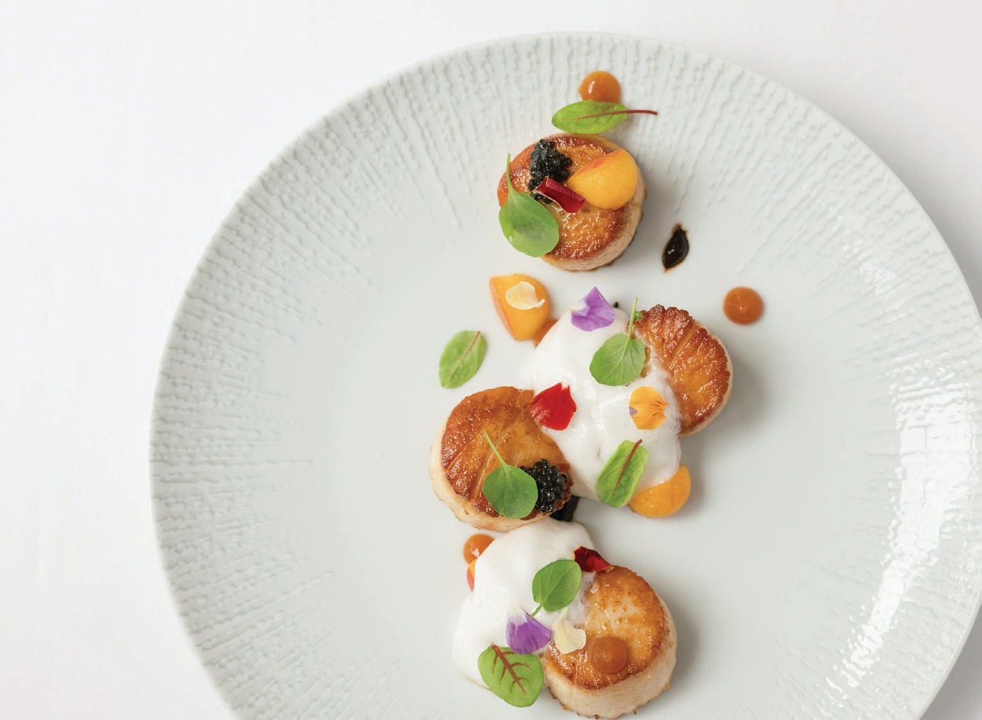 Cuvée’s culinary team sources locally for its menu, including its scallops. PHOTO COURTESY OF THTE CHATHAM INN