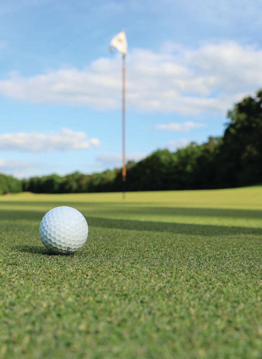Watch as your favorite golfers take the course this month at The Country Club in Brookline. PHOTO: BY MK S./UNSPLASH